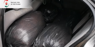 Fast 800 Kilogramm Tabak beschlagnahmt