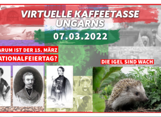 Die Virtuelle Kaffeetasse Ungarns am 07.03.2022