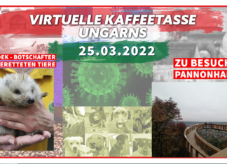 Virtuelle Kaffeetasse Ungarns am 25.03.2022
