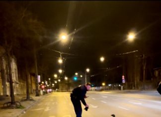 Pinguin bei Nachtausflug durch Budapest erwischt!