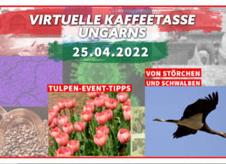 Virtuelle Kaffeetasse Ungarns am 25.04.2022