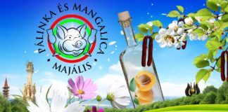 Echt Ungarisch: IX. Pálinka & Mangalica Maifest in Zalaegerszeg