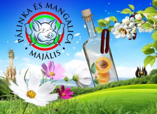 Echt Ungarisch: IX. Pálinka & Mangalica Maifest in Zalaegerszeg