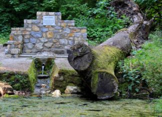 Quellwasser, Thermalwasser und BierSpa…Schon gewusst!? Soviele Quellen hat Ungarn!