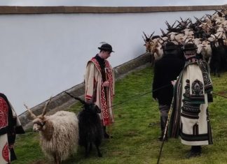Erste Eindrücke vom Viehauftrieb in Hortobágy
