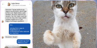 Ungarn Tierschutz: Cérna