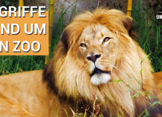 Ungarische Wörter lernen: Begriffe rund um den Zoo