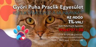 Tierschutz Ungarn: Puha Praclik Verein