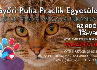 Tierschutz Ungarn: Puha Praclik Verein