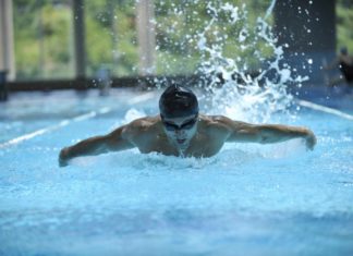 Schwimm-WM in Ungarn – So kann man Tickets bekommen