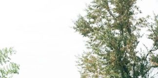 Sanfter Tourismus – Tipps für nachhaltigen Urlaub