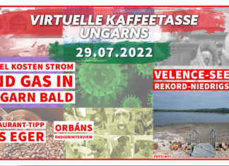Die Virtuelle Kaffeetasse Ungarns am 29.07.2022