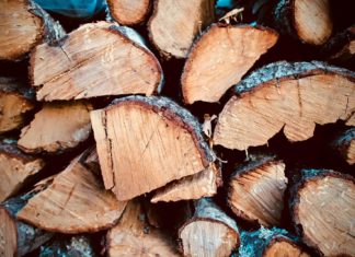 15 Tipps für den sicheren Brennholzeinkauf von NÉBIH