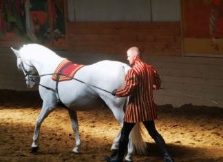 Reittourismus: Ungarn für Pferdefreunde