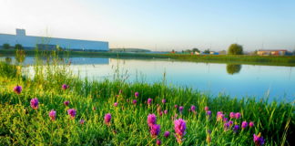 Wieder Earth Week bei der Audi Hungaria