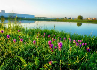 Wieder Earth Week bei der Audi Hungaria