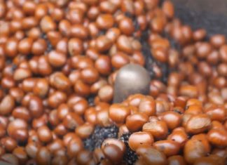 Infos und Facts rund um die Kastanie