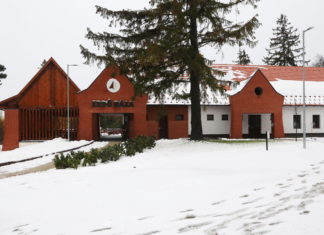 Der erste Schnee und die ersten Weihnachtsbäume in Ungarn