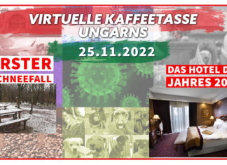 Die Virtuelle Kaffeetasse Ungarns am 25.11.2022