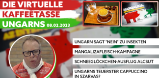 GUTE LAUNE UNGARN am 08.02.2023