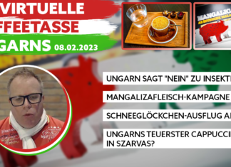 GUTE LAUNE UNGARN am 08.02.2023