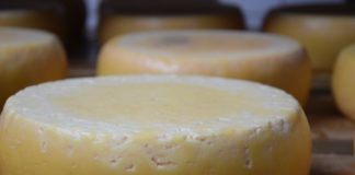 Ungarn kann auch Käse!