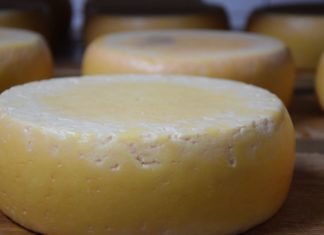 Ungarn kann auch Käse!