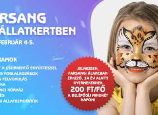 Tipp für das Wochenende: Karneval im Budapester Zoo