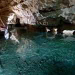 105305888_1671886549632252_1225721856147818786_n