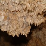 20160129064711-viragoskert-2-co7ug17a