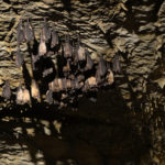 51856825110_f48d81c192_k