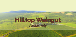 Hilltop Weingut – Neszmély