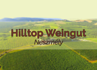 Hilltop Weingut – Neszmély