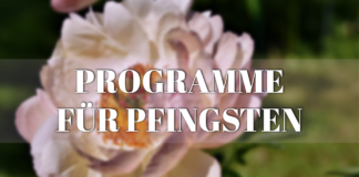 Programme für Pfingsten