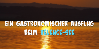 Ein gastronomischer Ausflug beim Velence-See