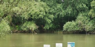 Wassertourismus – Einige Fakten zu Szigetköz