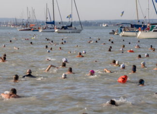 Die 41. Lidl Balaton Durchschwimmung hat begonnen!