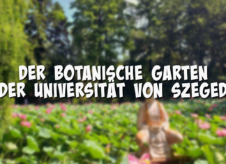 Der Botanische Garten der Universität von Szeged