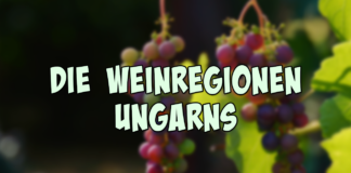Die Weinregionen Ungarns