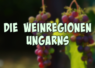 Die Weinregionen Ungarns