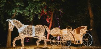 Lumina Park-Eröffnung: Eine leuchtende Zeitreise durch die Geschichte Budapests