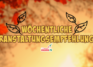 Wöchentliche Veranstaltungsempfehlungen