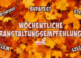 Wöchentliche Veranstaltungsempfehlungen