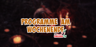 Programme am Wochenende