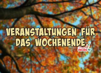 Veranstaltungen für das Wochenende