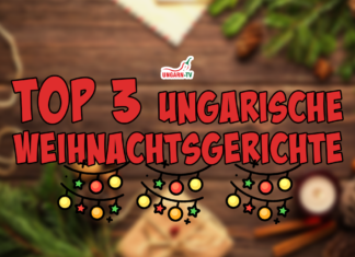 Top 3 ungarische Weihnachtsgerichte