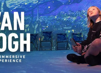 Eintauchen in die Gemälde von Van Gogh!