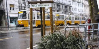Weihnachtsbaum Adieu in Budapest