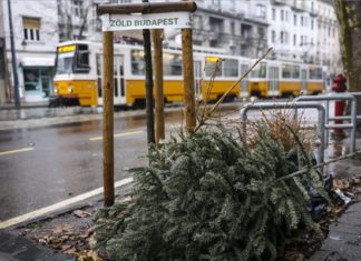 Weihnachtsbaum Adieu in Budapest