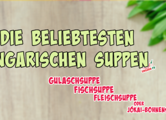 Die beliebtesten ungarischen Suppen